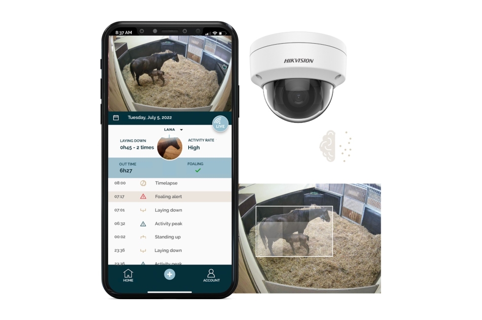 Novostable - Novostable Smart Surveillance & Foaling | Digital Key World